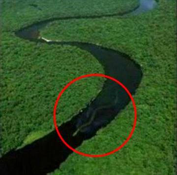 yeh Amazon jungle River ki oper sy li gai pic hai .ismn dekha jaa skta hai ..ik  bra sa Anaconda pani mn tezi se move kr rha hai