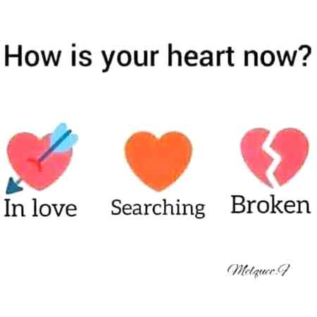 Searching  ang your