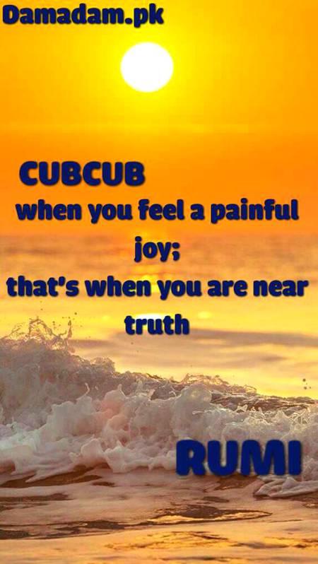 RUMI'S WORDS