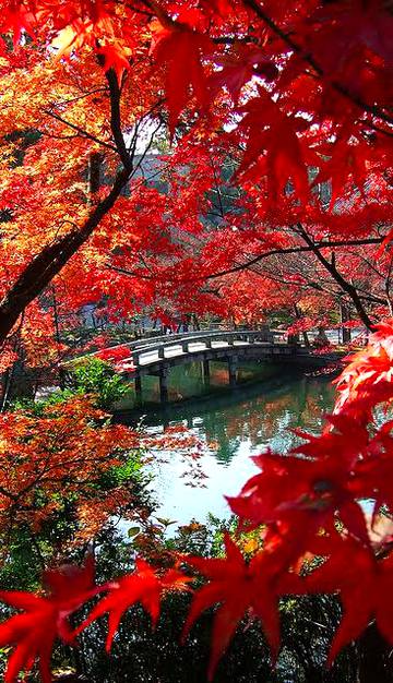 Beauty of nature