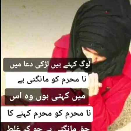 لوگ کہتے ہیں