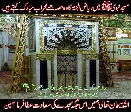 🌼Aameen sum ameen🌼