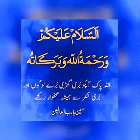ZOY@ M@LIK
