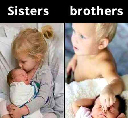 Brothers are born to disturb sisters
