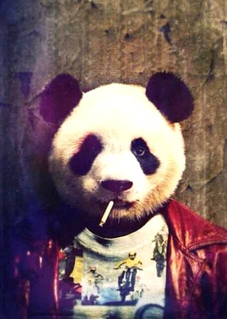 A smoking panda..