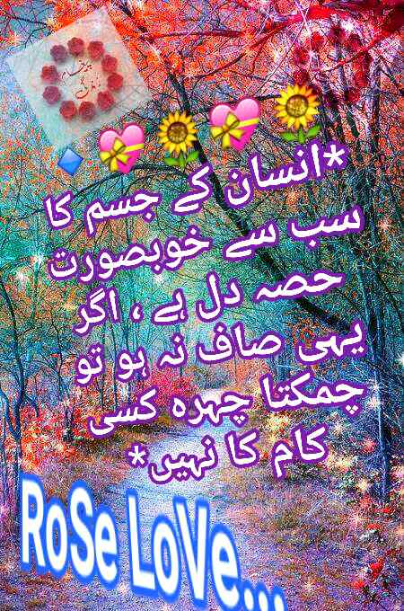 🌹👍🌹RoSe🌹👍🌹👍🌹RIGHT🌹👍🌹👍🌹👍🌹