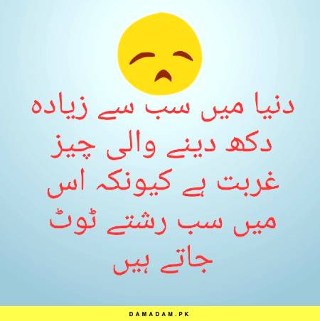 Really (｡•́︿•̀｡)