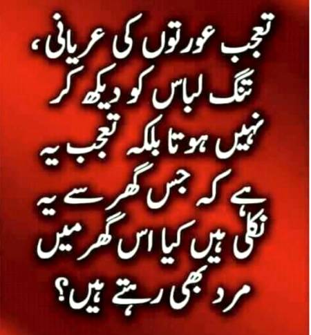 Taajub Hy