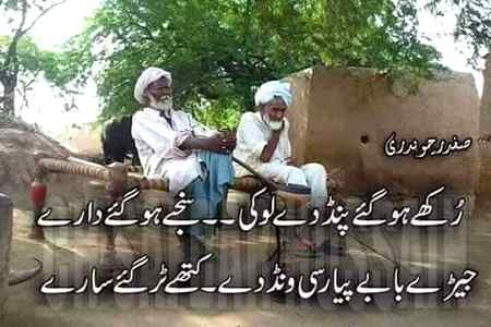 hlo friends