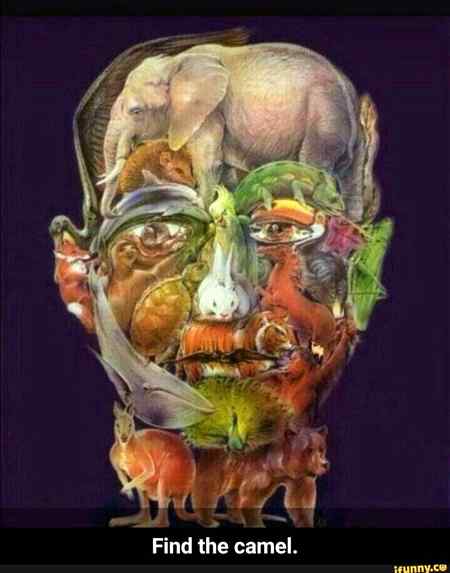 Animal Face.😮