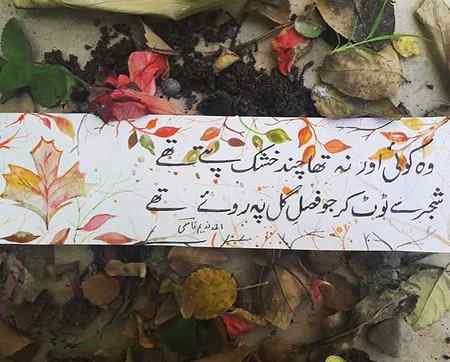 Asslam-o-Alikum everyone