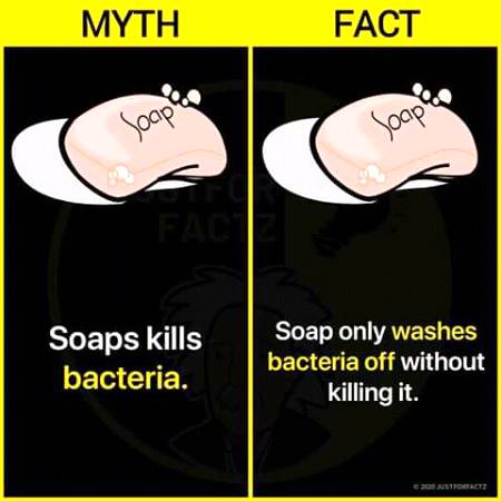 Fact vs myth..