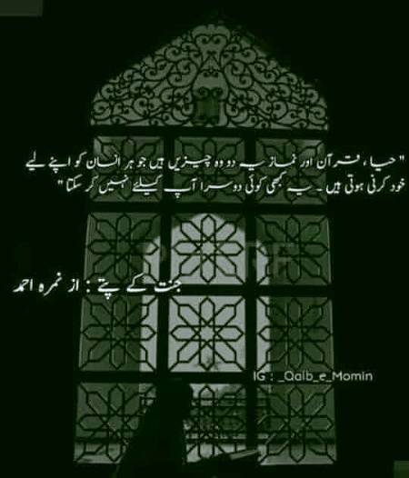 My fvrt novel 
(Jnt k pty)