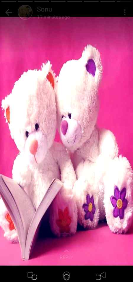 Assalam o alaikum so cute