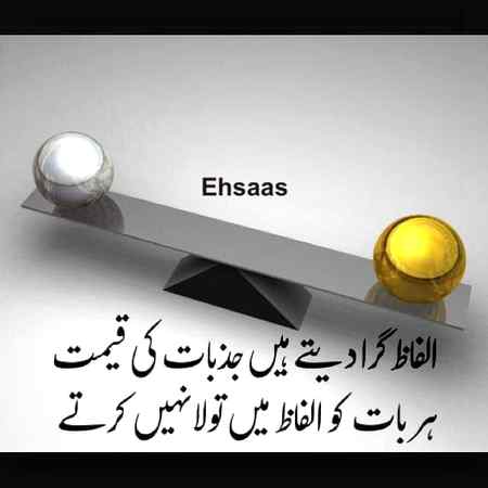 True_words
