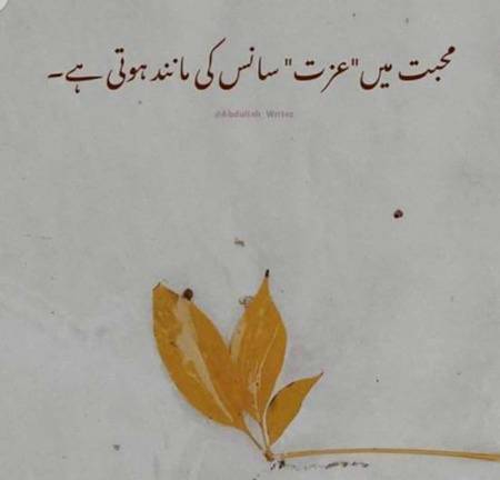 Asslam Alikum🙂