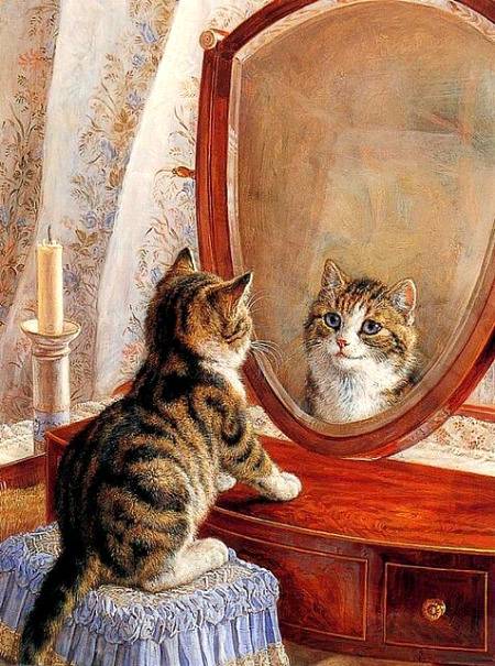The mirror likes me