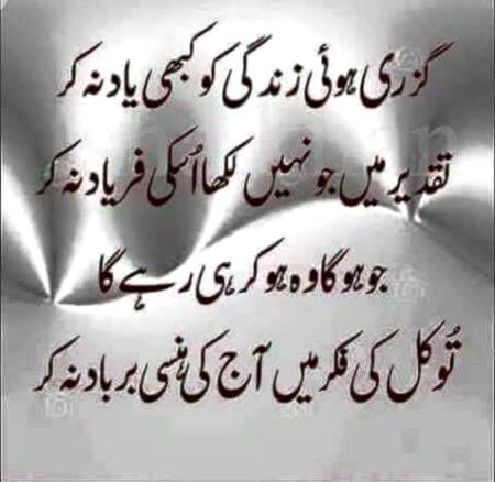 Hmm khush rahn sb🙂
