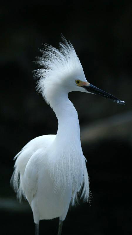 Wow nice photography