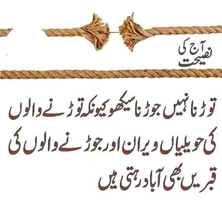 Zarori nahi ap her baar kamyaab hoon par koshish zaror krein