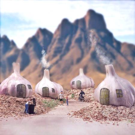 Garlic village of tinny world