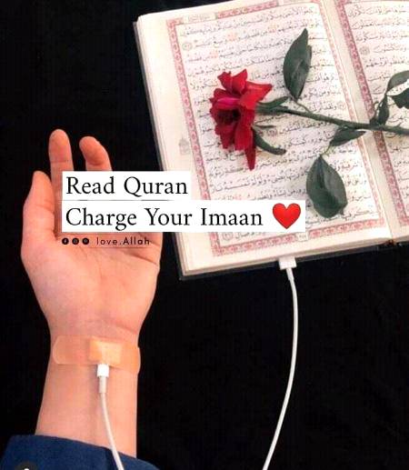 Read Quran And Strengthen your Emaan💖