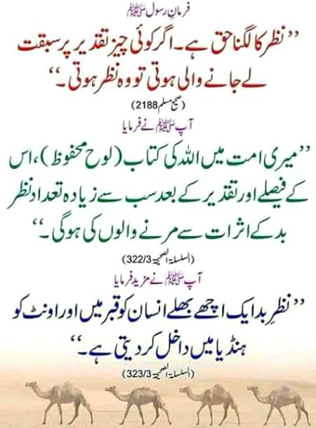 Beshak  beshak