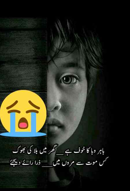 hlo friends