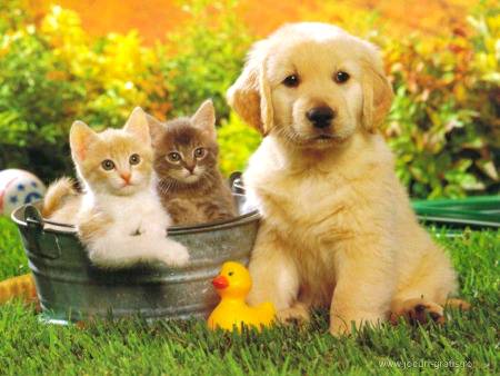 Friends....