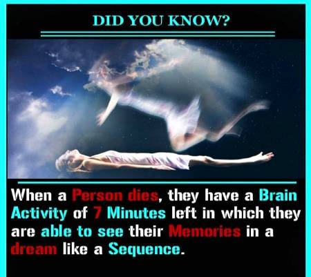 Amazing facts