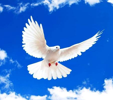 میری جگہ_____ تم___ ہوتے تو ۔

یقین کرو تھک گیۓ____ ہوتے ۔ !