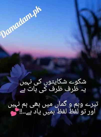 شکوے شکایتوں کی نہیں
یہ ظرف ظرف کی بات ہے

تیرے وہم و گماں میں بھی ہم نہیں
اور تو لفظ لفظ ہمیں یاد ہے۔۔!!💕