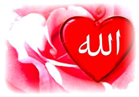 🌹ﷲﷻﷲﷻﷲﷻﷲﷻ🌹
🌹ﷲﷻﷲﷻﷲﷻﷲﷻ🌹