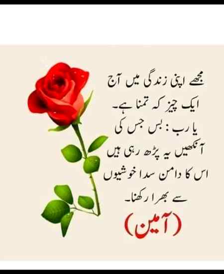 جو بھی پڑھے امین لکھتا جائے🌹🌷🌹