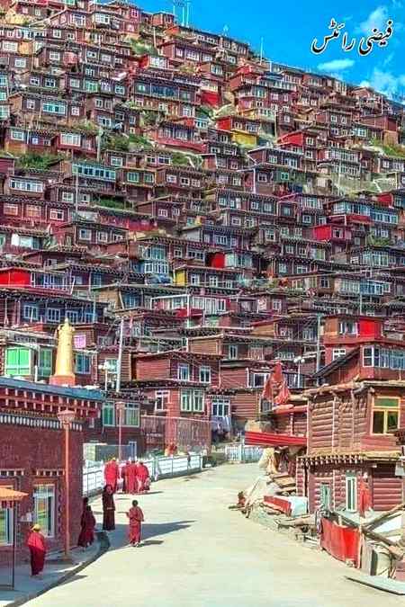 ڈُھونڈتا پِھرتا ہُوں اِک شہرِ تخّیُل میں تُجھے
اور میرے پاس تیرے گھر کی نِشانی بھی نہیں