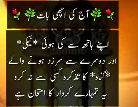 🌿🌹🌿🌹🌿🌹🌿🌹🌿