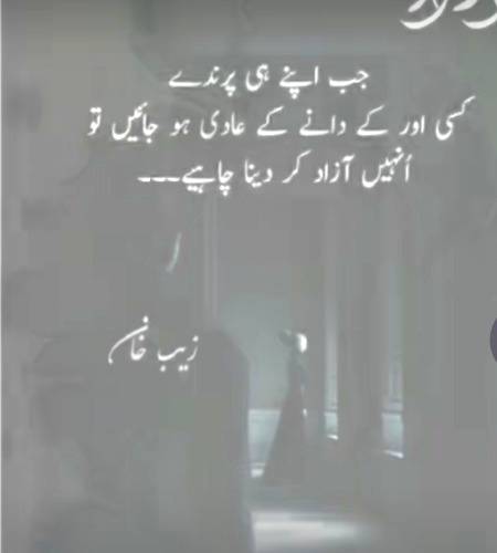 Listen Agr Azadi chahty ho to btado 😏