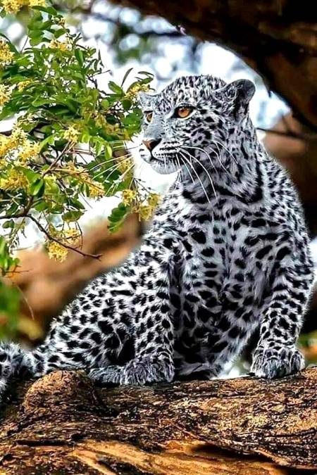 Awesome photography 💕💕