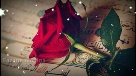 Yaa AP ka liya hai g ....or hn Jin ka roza hai g .... 😜😜😜😜😜😜