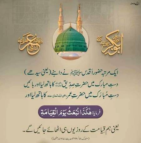 🌹🌹🌹صلی اللہ علی حبیبہ محمد نور من نوراللہ وعلی آلہ واہل بیتہ وعترتہ وازواجہ وصحبہ وجدہ وذریتہ و کل امتہ وبارک وسلم کثیراً کثیرا و دائماً ابدا 🌹🌹🌹