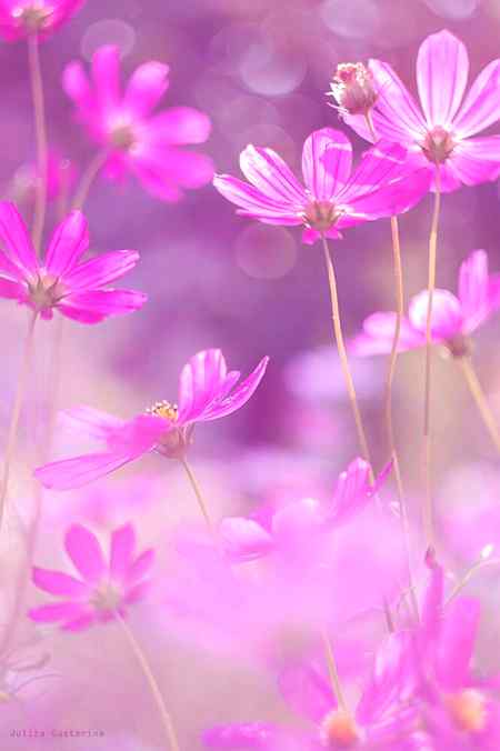 "وَاذْكُرِ اسْمَ رَبِّكَ بُكْرَةً وَأَصِيلًا
اور صبــح وشام اپنـــــے
پروردگار کا نام لیتـــے رہو"💙