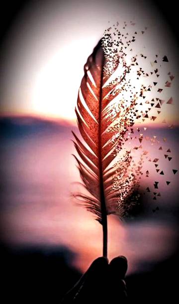 زندگی میں جو چاہے حاصل کرو اتنا خیال رہے کہ تمہاری کامیابی کا راستہ لوگوں کے دلوں کو توڑتا ہوا نہ گزرے