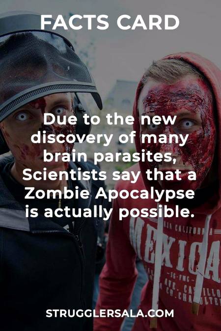 DID YOU KNOW??