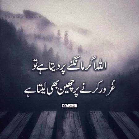 🌹🌹🌹صلی اللہ علی حبیبہ محمد نور من نوراللہ وعلی آلہ واہل بیتہ وعترتہ وازواجہ وصحبہ وجدہ وذریتہ و کل امتہ وبارک وسلم کثیراً کثیرا و دائماً ابدا 🌹🌹🌹