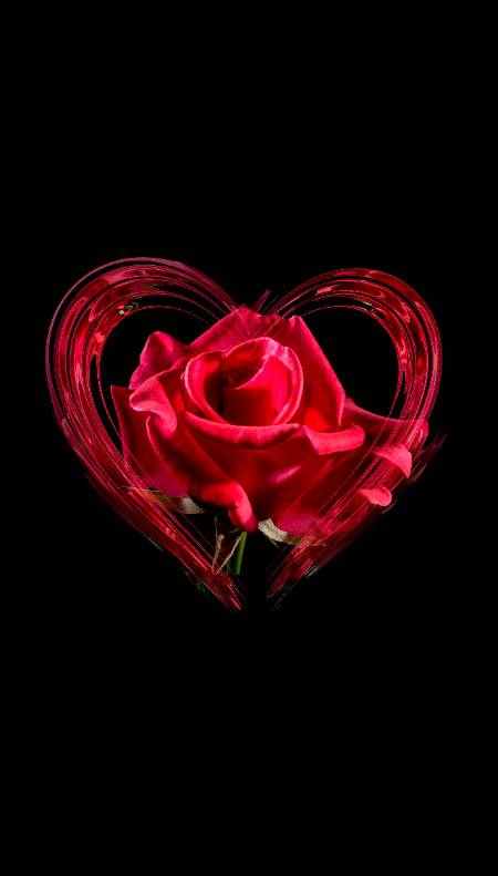 This is for u my all dear friends 😊😊