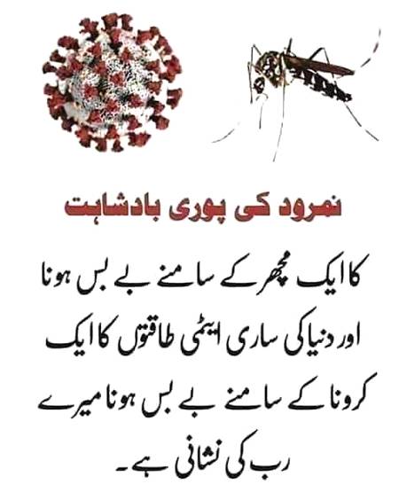 ...BESHAK...