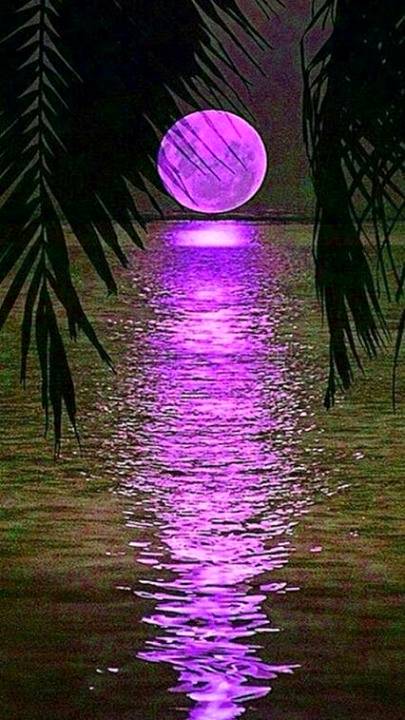 ﺑﺪﻥ ﮐﮯ ﻗﯿﺪ ﺧﺎﻧﮯ ﻣﯿﮟ ، ﻋﺠَﺐ ﺗﮭﯽ ﺭُﻭﺡ ﮐﯽ ﺣﺎﻟﺖ..
ﺍﺳﯿﺮﯼ ﺑﮭﯽ ﻣُﻘﺪَّﻡ ﺗﮭﯽ ، ﺭِﮬَﺎﺋﯽ ﺑﮭﯽ ﺿﺮﻭﺭﯼ ﺗﮭﯽ ..!