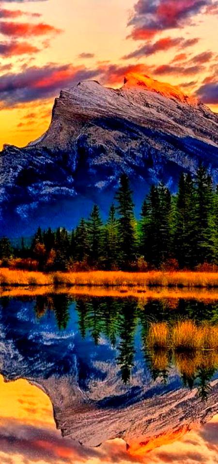 Photography🔥🔥