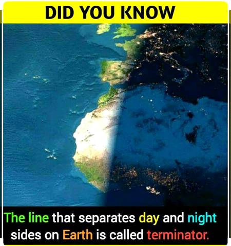 Did you know?