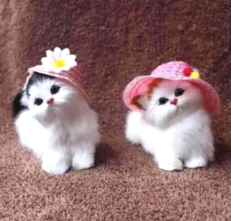 ❣️❣️ so cute 😍😍